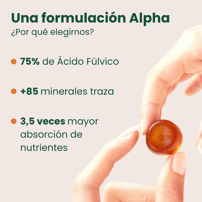 Gomitas ALPHA | Potencia Masculina y Energía Extrema